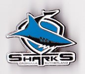 sharks pins_0001.jpg