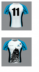 jersey design 2.png