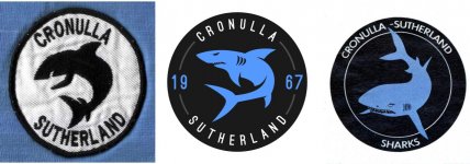 sharks logo.jpg