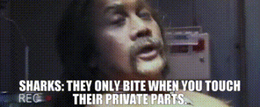 73601775-ebdf-440f-a7b0-77079ef56865_text.gif