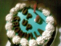 2009 birthday cake.jpg