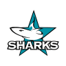 Proud Shark