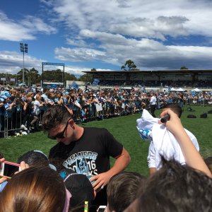 Chad Townsend signing autographs at the Premiership Fan Day, Monday 3-Oct-2016
