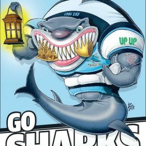 Go Sharks poster from the Daily Telegraph