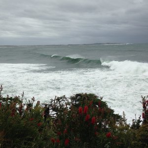 Bottlebrush Point