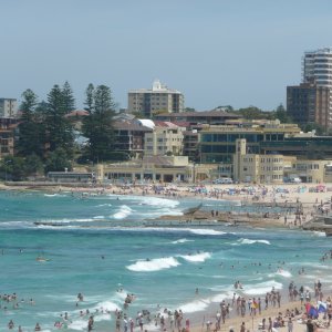 North Cronulla Chaos