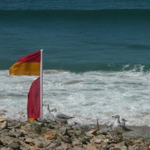 Old Flags