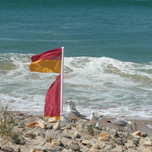 Old Flags