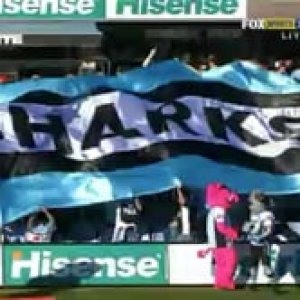 Cronulla Sharks Believe TIFOs. Including Old Mr Sharkie