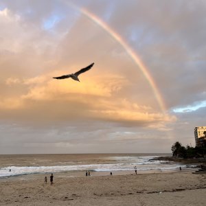 Sunset Rainbow