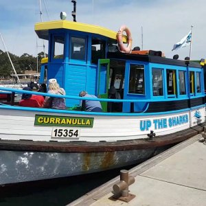 Cronulla Sharks - Bundeena Ferry - 07 OCT '16 - by Steve Core