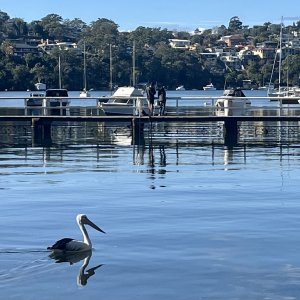 Gymea Bay