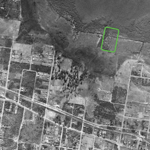 Shark Park 1943
