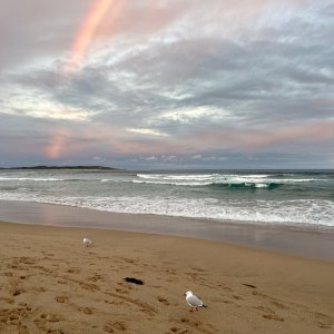 Wanda rainbow