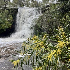 Royal National Park waterfall