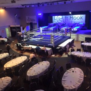 Boxing Ring 2015