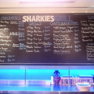 Sharkies 6.jpg