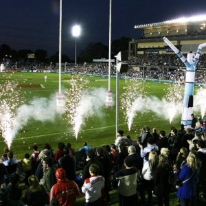 Shark Park 2008