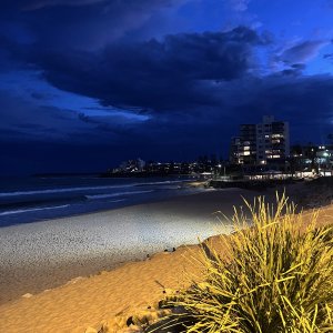 North Cronulla Nights