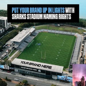 Shark Park Aerial View