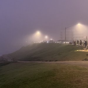 Fog