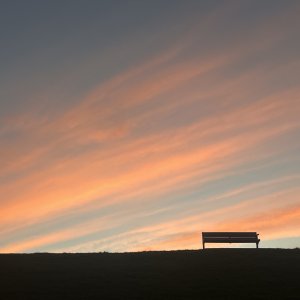 IMG_2440.jpeg